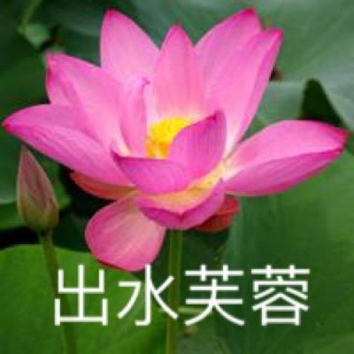 不休的乌拉拉台服官方版下载